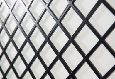 Detail _Rooster-Grille – kopie