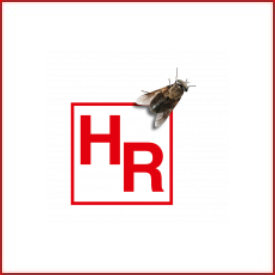 HR vliegenramen en vliegendeuren